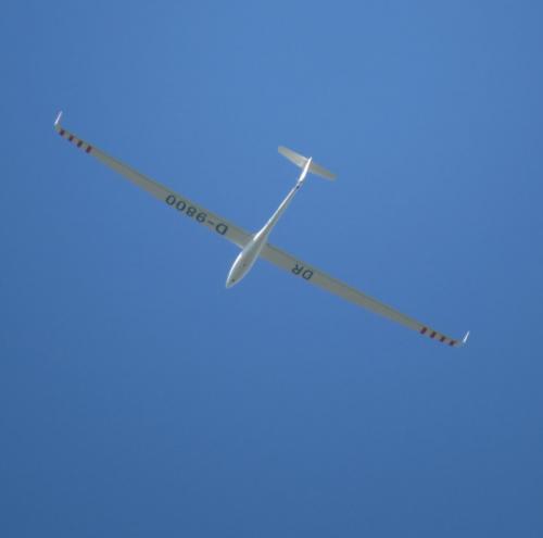 Glider-D-9800-01