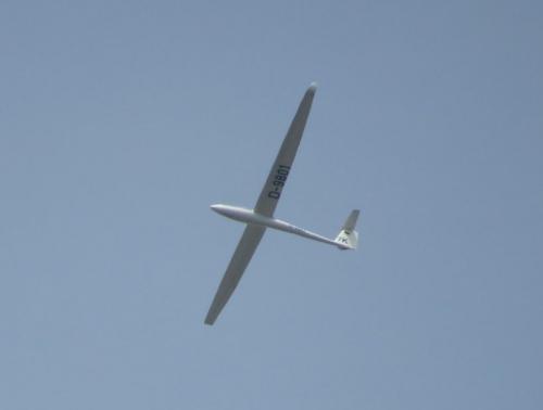 Glider-D-9801-01