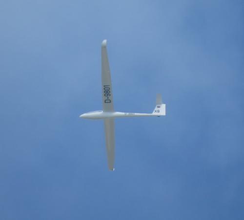 Glider-D-9801-X8-03
