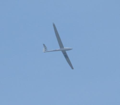Glider-D-9801XB-01