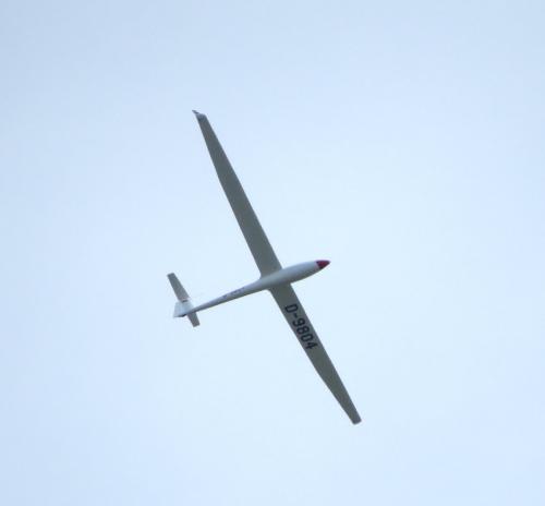 Glider-D-9804-01