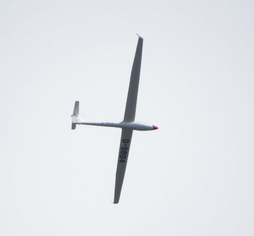 Glider-D-9804-02