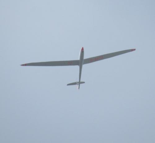 Glider-D-9972-02