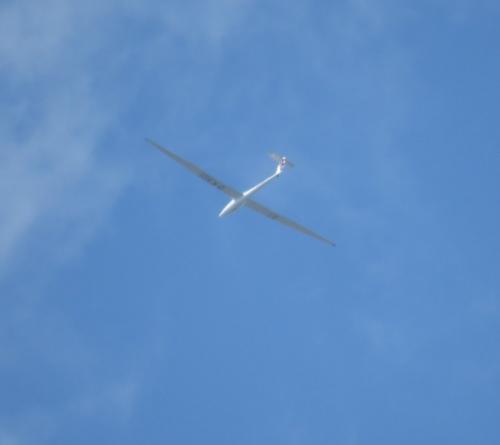 Glider-D-KADI-01