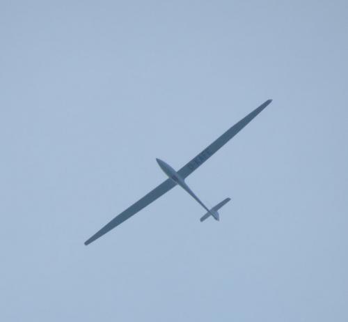Glider-D-KAFE-01