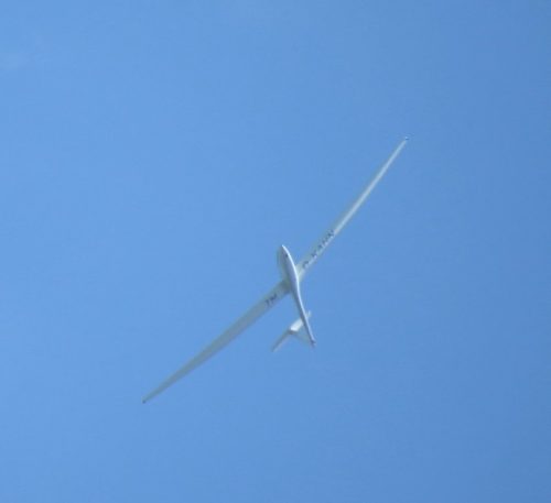 Glider-D-KAHN-01