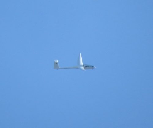 Glider-D-KAHN-02