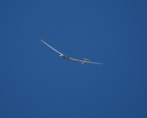 Glider-D-KAIM-01