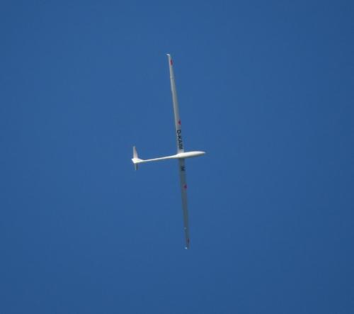 Glider-D-KAIM-03