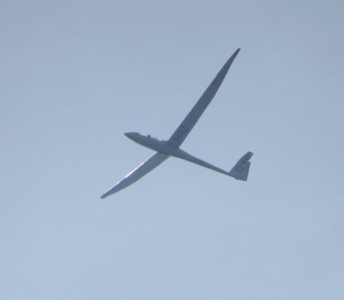 Glider-D-KALT-02