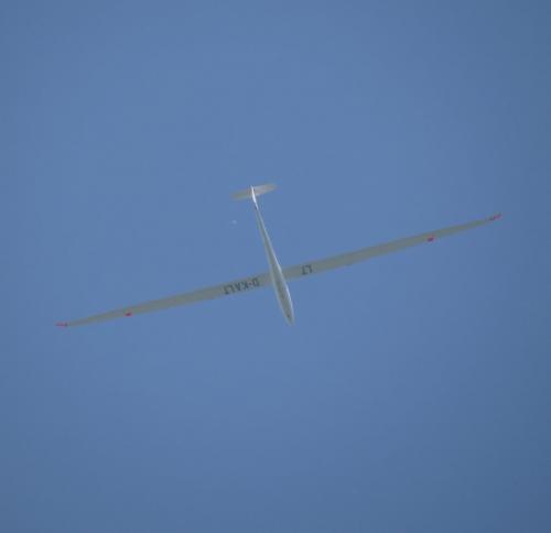 Glider-D-KALT-03