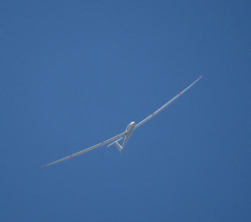 Glider-D-KALT-04