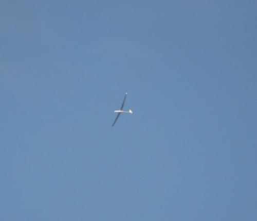 Glider-D-KAYV-01
