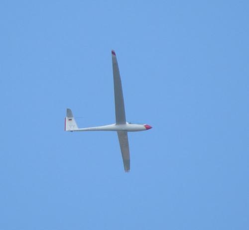 Glider-D-KAYY-01