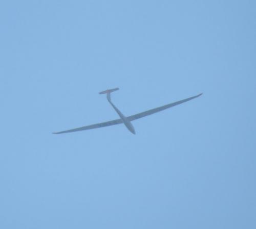 Glider-D-KBFX-02