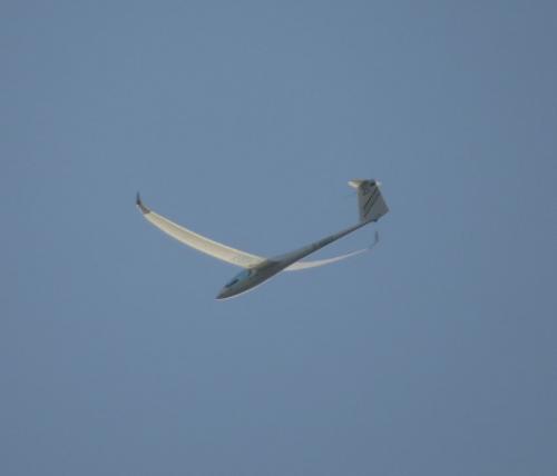 Glider-D-KBGY-04