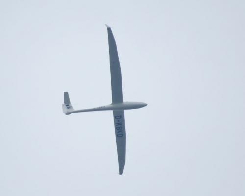 Glider-D-KBKD-01