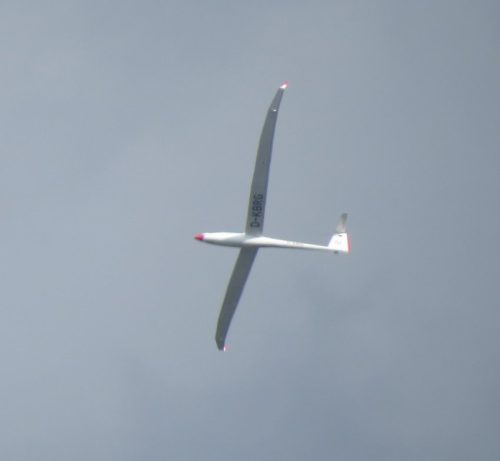 Glider-D-KBRG-01