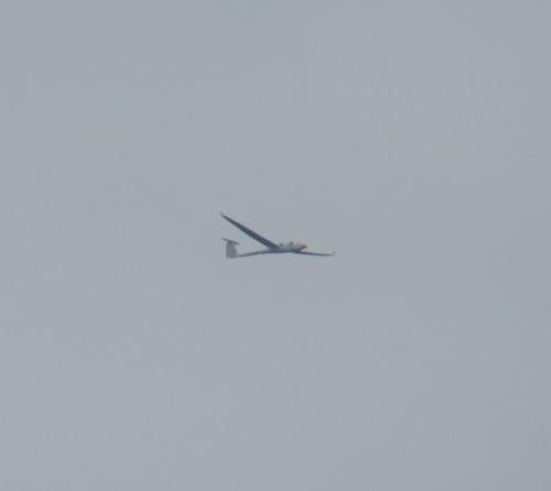 Glider-D-KBST-01