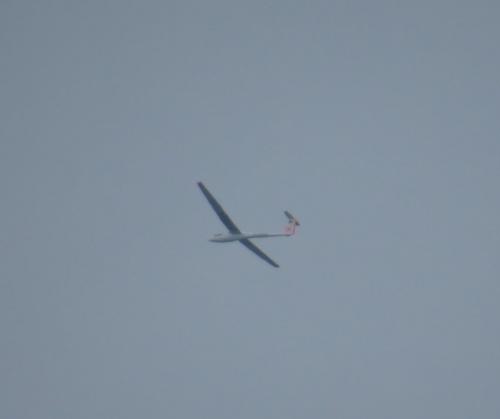 Glider-D-KBSX-01