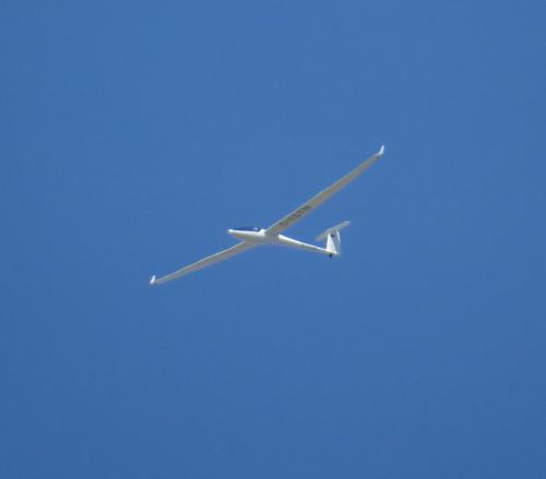 Glider-D-KBTM-01