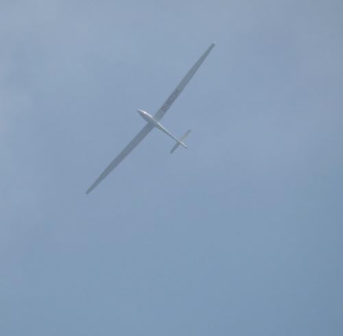 Glider-D-KCCH-02