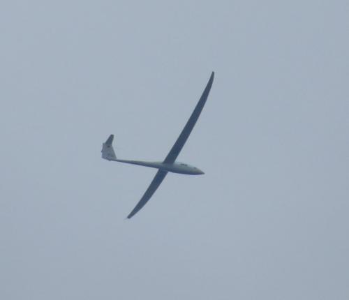 Glider-D-KCHJ-01