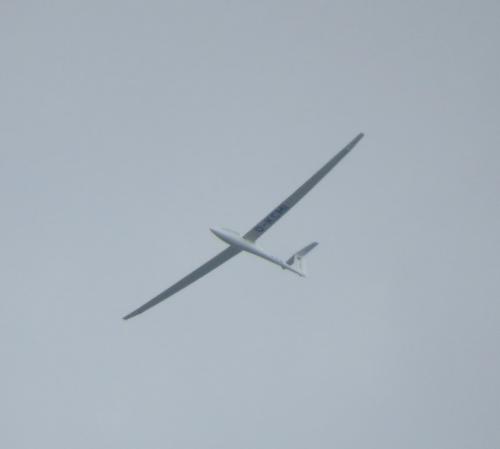 Glider-D-KCMI-01