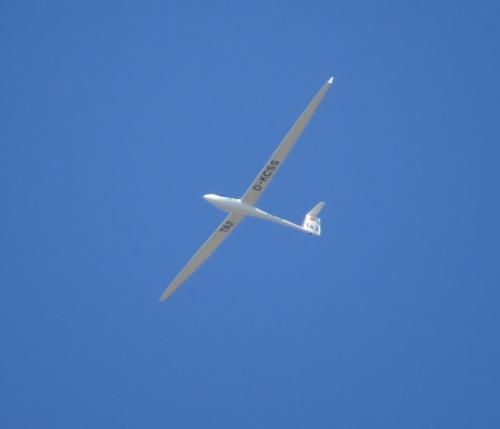 Glider-D-KCSS-01