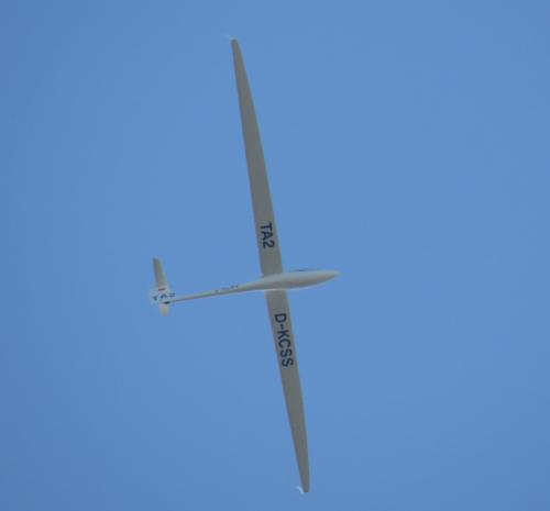 Glider-D-KCSS-02