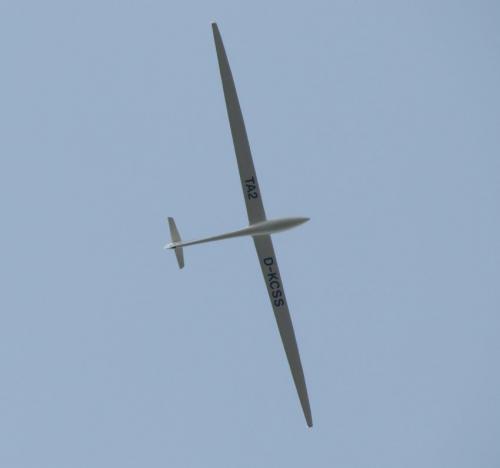 Glider-D-KCSS-03