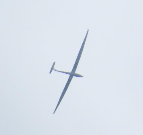 Glider-D-KDCB-01