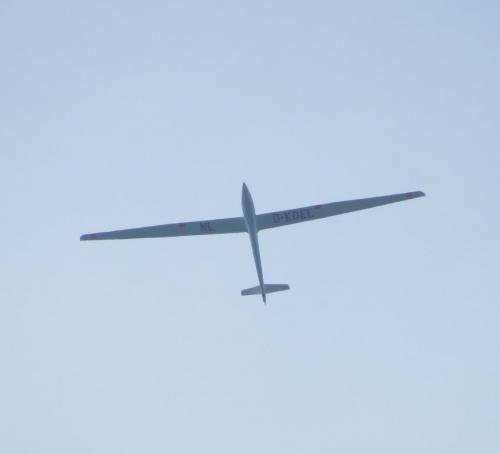 Glider-D-KDEL-01