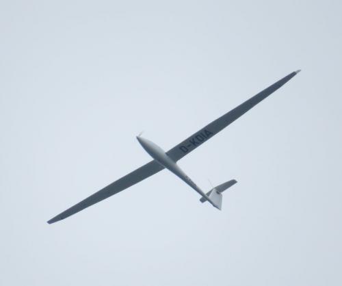 Glider-D-KDIA-01