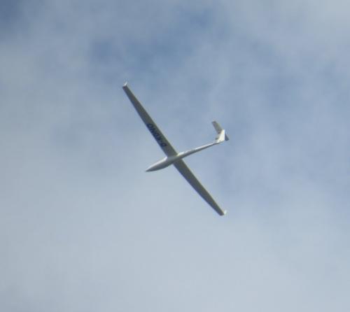 Glider-D-KDNO-02