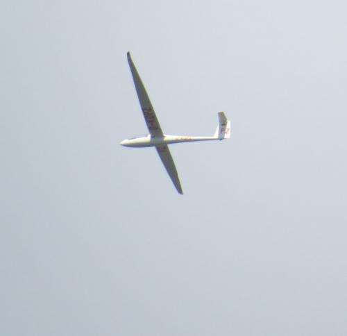 Glider-D-KDPZ-02