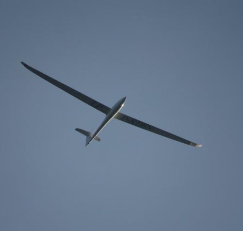 Glider-D-KDSN-01