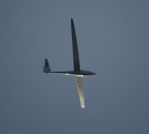 Glider-D-KDSN-03