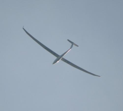 Glider-D-KEGY-02