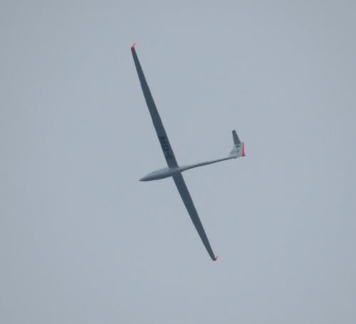 Glider-D-KEHW-01