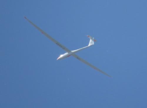 Glider-D-KEXX-02