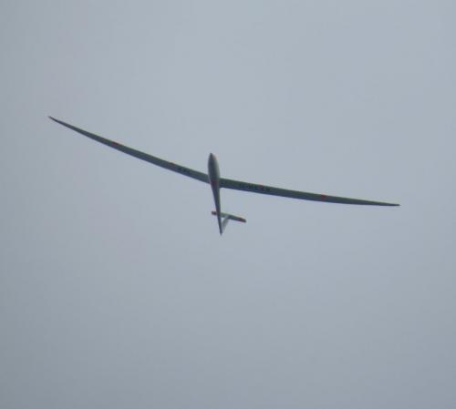 Glider-D-KEXX-03