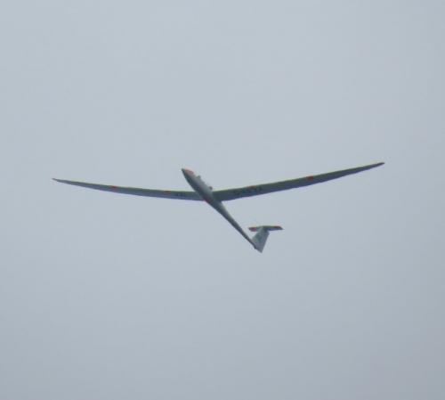 Glider-D-KEXX-04