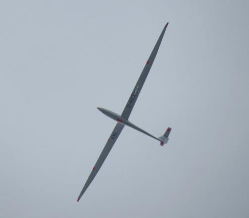 Glider-D-KEXX-05