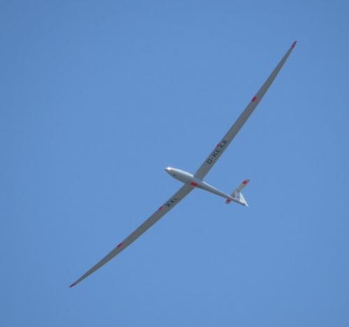 Glider-D-KEXX-06