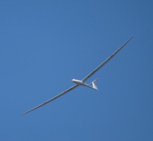 Glider-D-KEXX-08