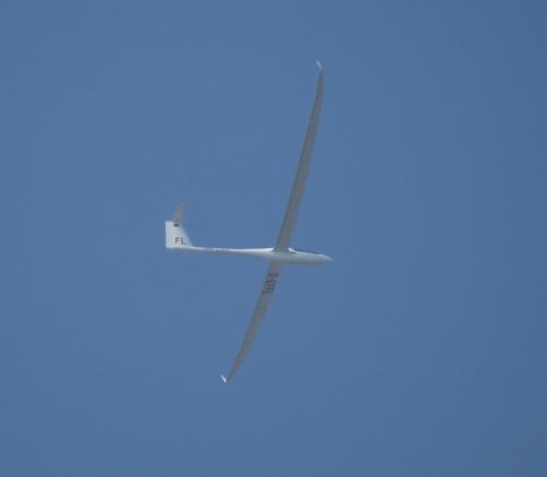 Glider-D-KFFL-01