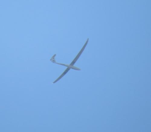 Glider-D-KFWH-01