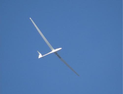 Glider-D-KGGO-01