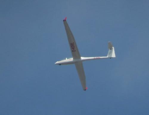 Glider-D-KGRL-01